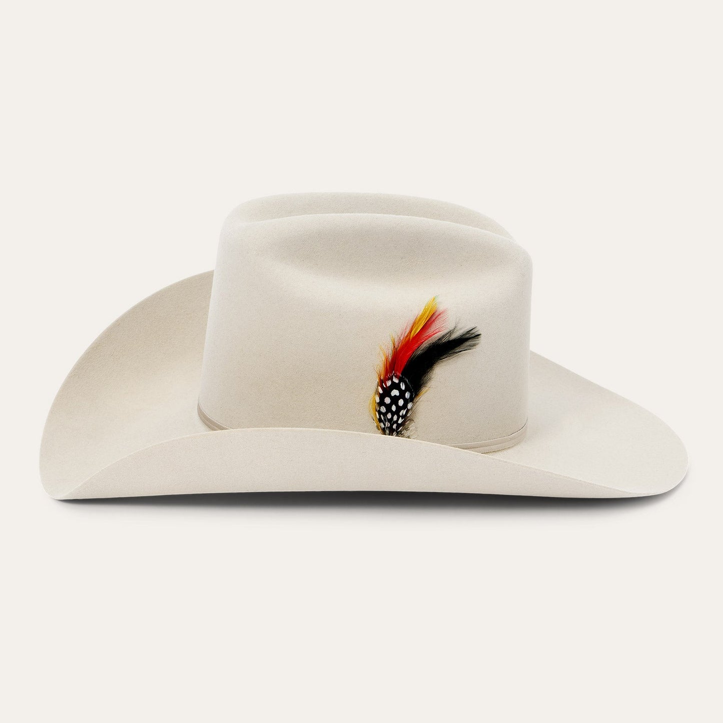 Vista lateral Texana Stetson Rancher 6X Silver Grey