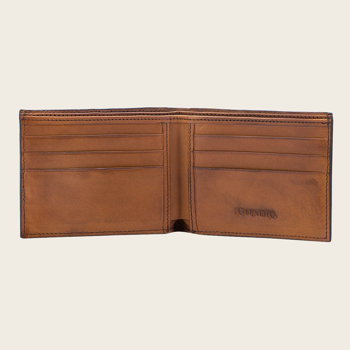 Billetera Cuadra B2910EL elefante negro