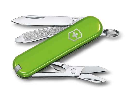 Victorinox Classic SD Smashed Avocado 0.6223.43G