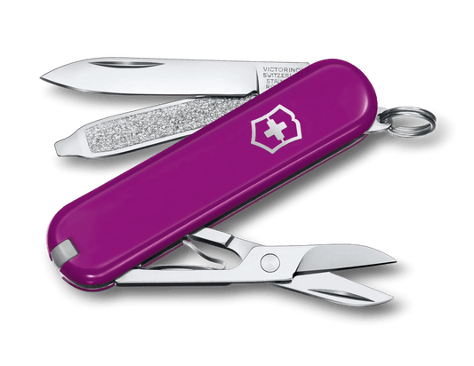 Victorinox Classic SD Tasty Grape 0.6223.52G