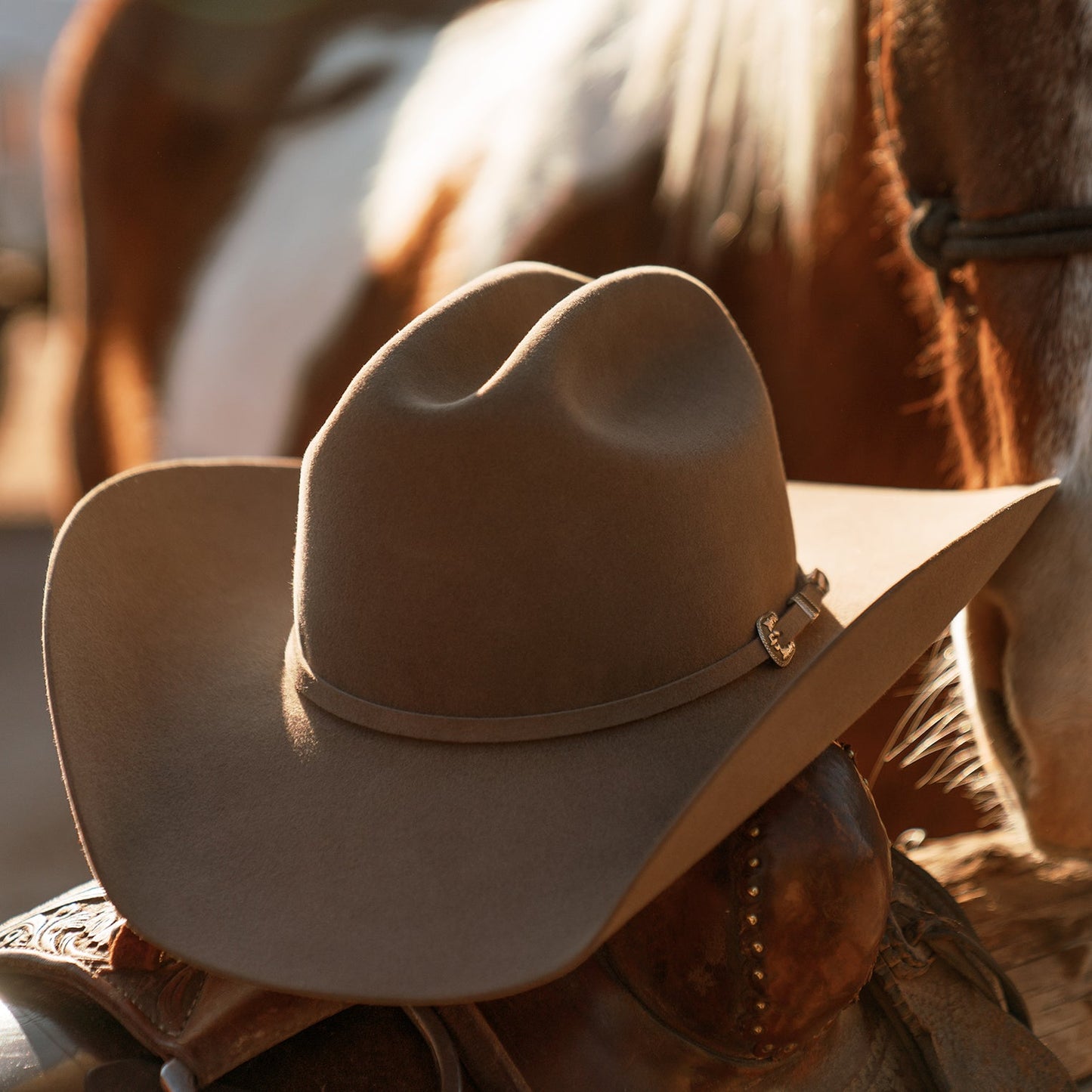 Interior Texana Stetson Skyline 6X Sahara