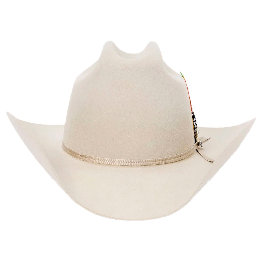 Detalle Texana Stetson Rancher 6X Silverbelly
