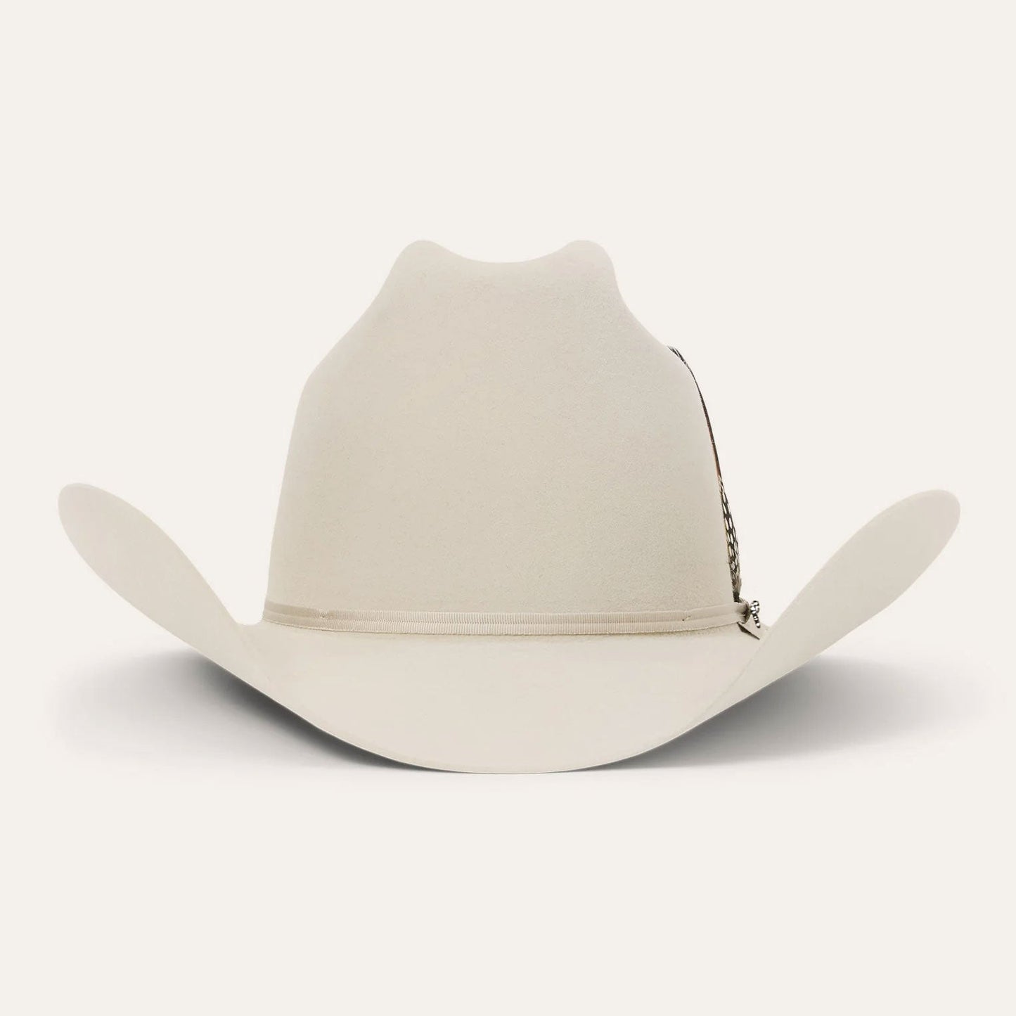Vista superior Texana Stetson Rancher 6X Silverbelly