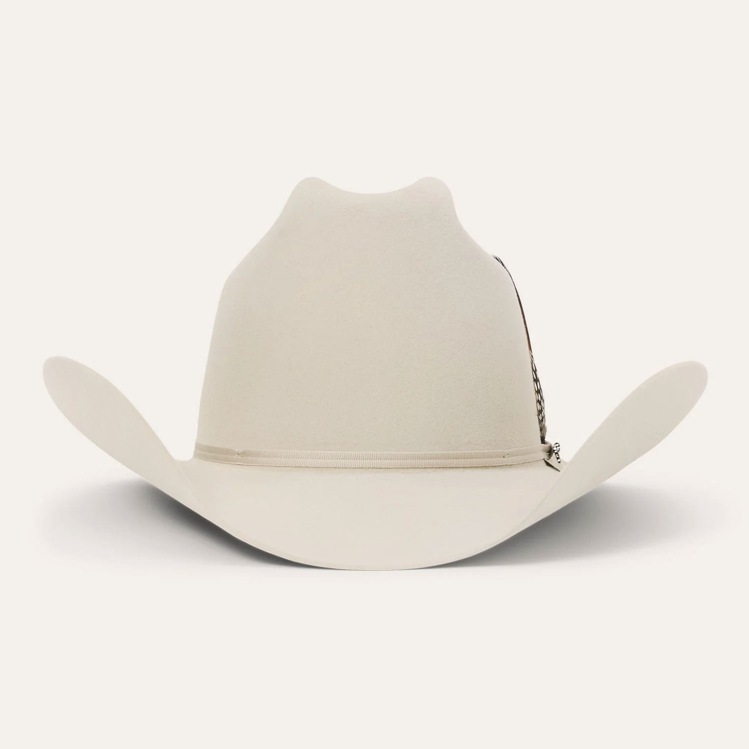 Vista superior Texana Stetson Rancher 6X Silverbelly
