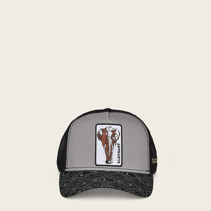 Gorra Cuadra con Parche de Elefante